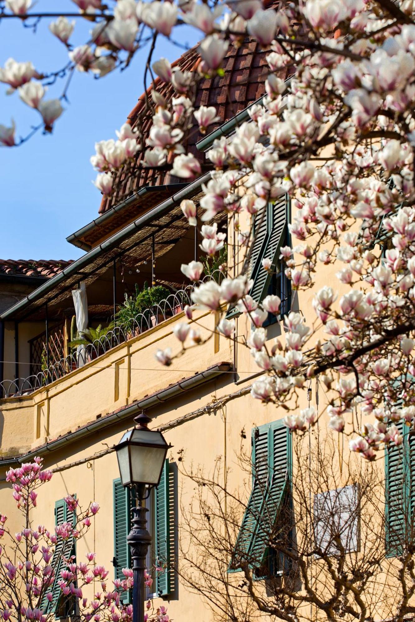 Casa San Girolamo Historic Flat With Cosy Terrace In Lucca'S City Centre Exteriör bild