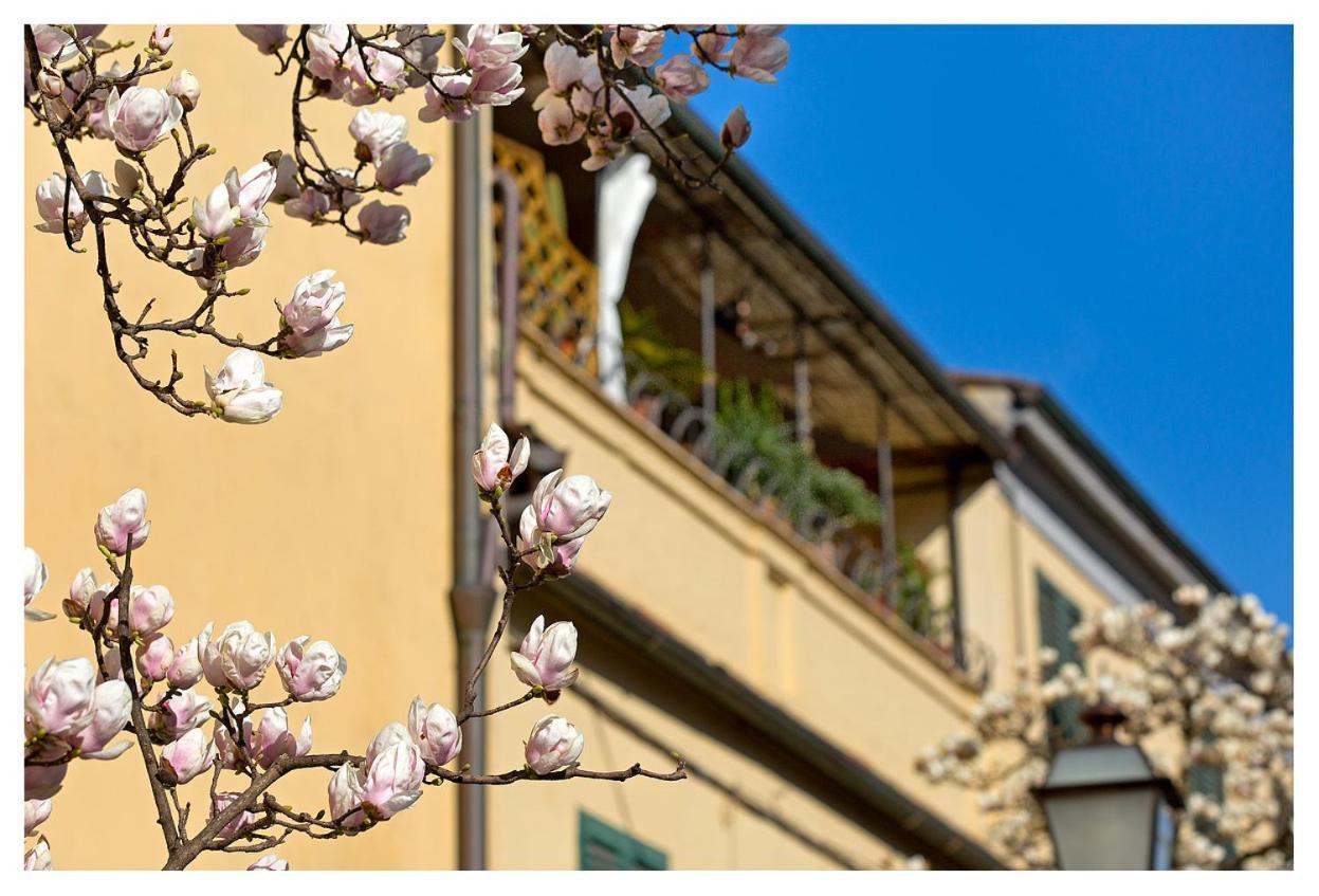 Casa San Girolamo Historic Flat With Cosy Terrace In Lucca'S City Centre Exteriör bild